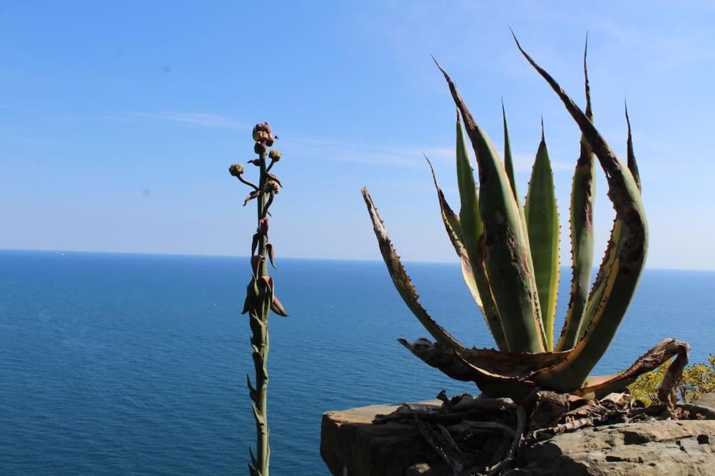 Ca' Do Roccio